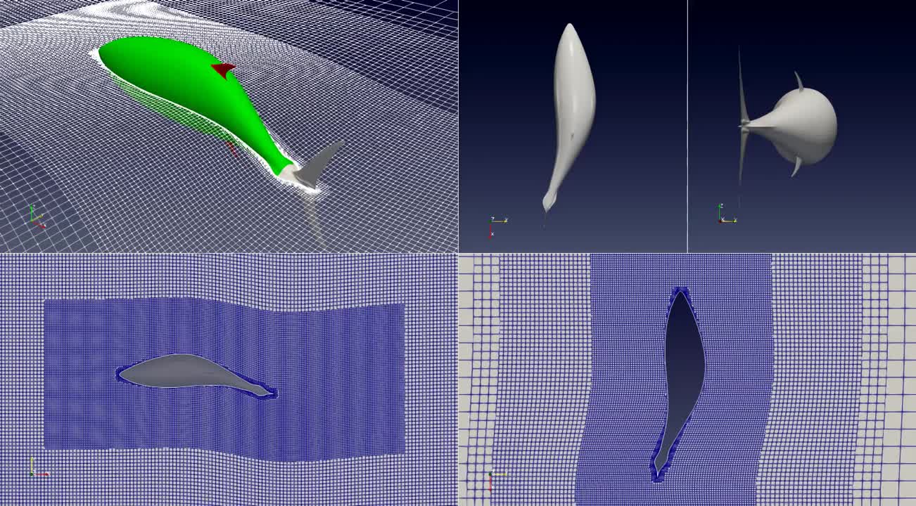Dynamic mesh views of an OpenFOAM swimming tuna simulation